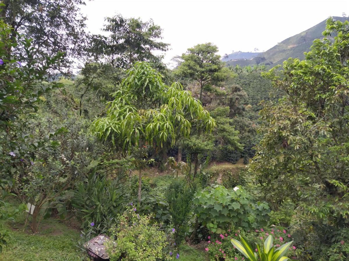 הוילה Chinchiná Hacienda Guayabal מראה חיצוני תמונה